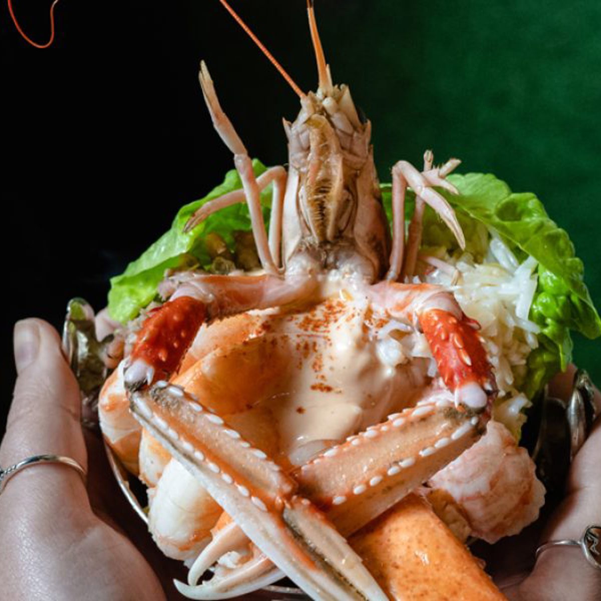 Bentley's Shellfish Cocktail | Journal | Bentley's