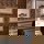 fish pictures on wall at Bentley's Oyster Bar & Grill seafood restaurant in Mayfair, London