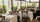 Outdoor dining terrace at Bentley's Oyster Bar & Grill seafood restaurant in Mayfair, London