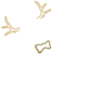 Oyster Antlers White