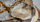 native oyster